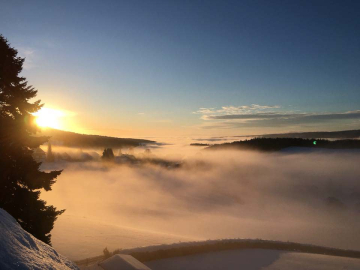 28472295_1478609278931673_4655741079598560651_n